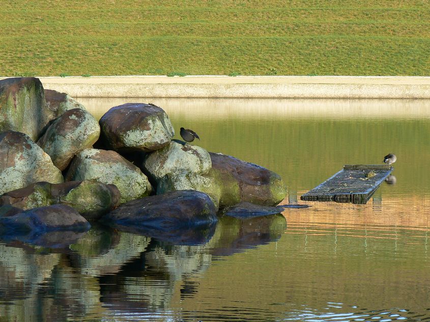Promenade autour du Lac: Le parc du Lac Evry Courcouronnes 019